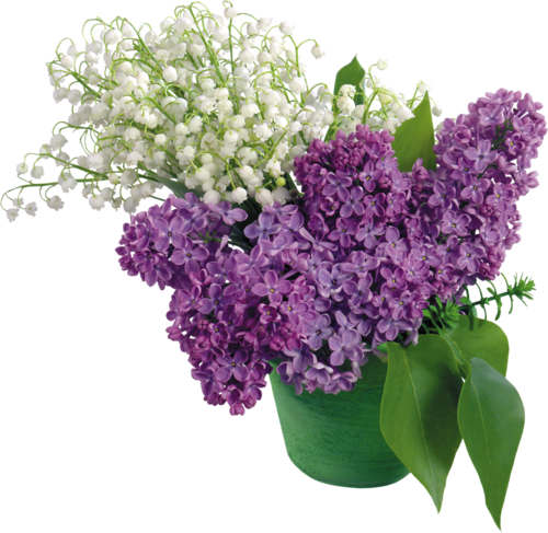 muguet2.png