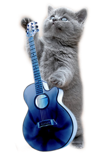 tube_chat_guitare_bleu