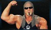 Scott Steiner