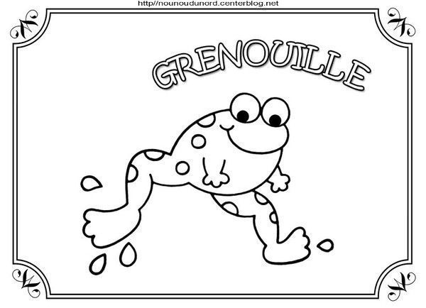 grenouille coloriage, à gommettes, en couleur