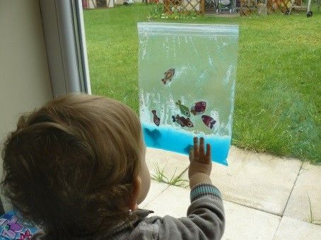 Aquarium tactile