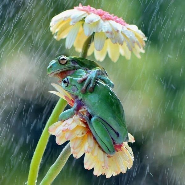 Deuxième jours de pluie