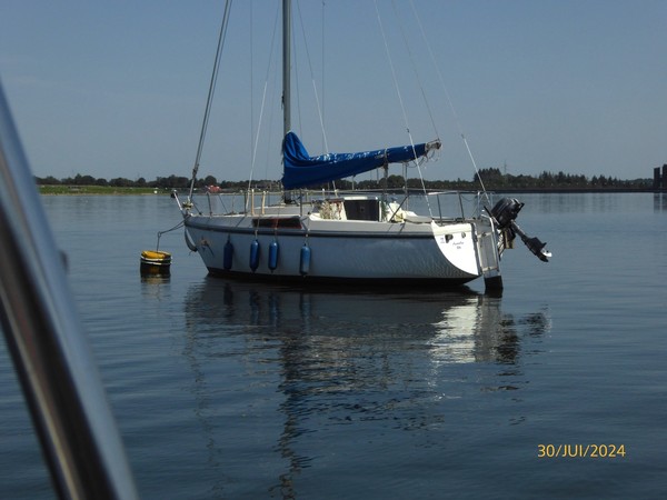 un nouveau venu au lac