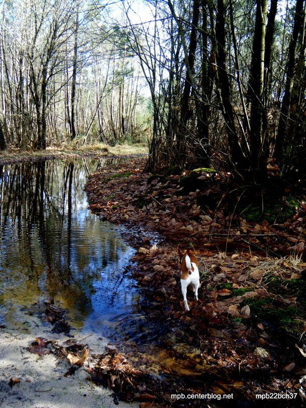 Détrempé le sentier