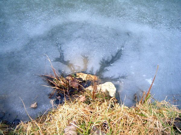 Piège de glace