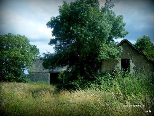 Ruines sous confidences