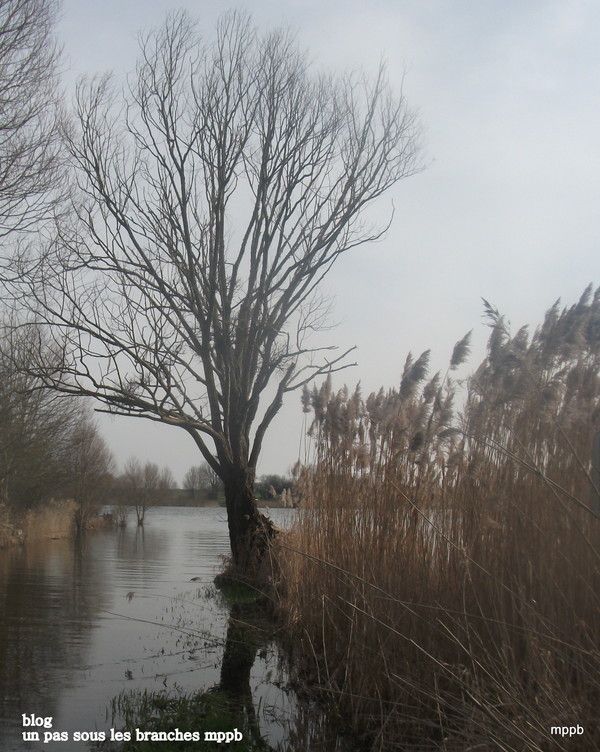 L'eau déménage