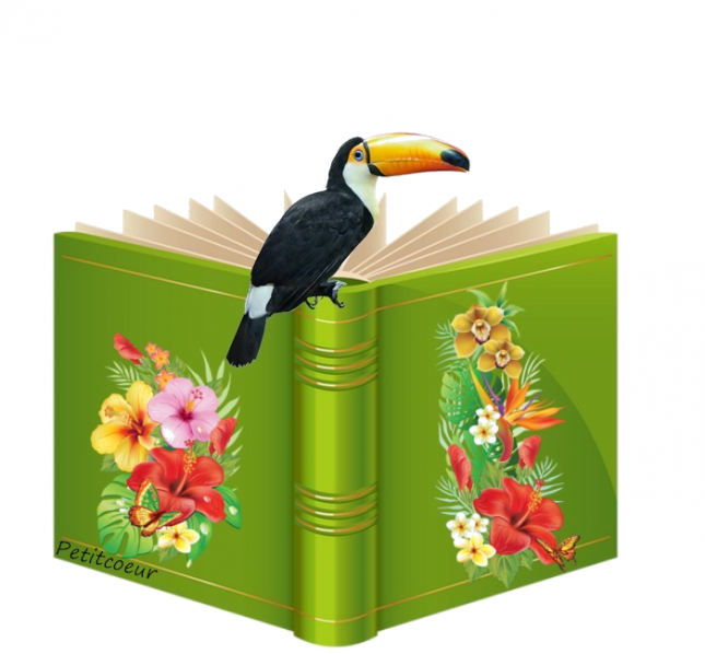 toucan