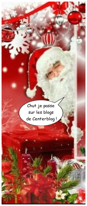 (¬▂¬) ICI ASTUCE IMAGES Blogs Centerblog Noël /Bonne année