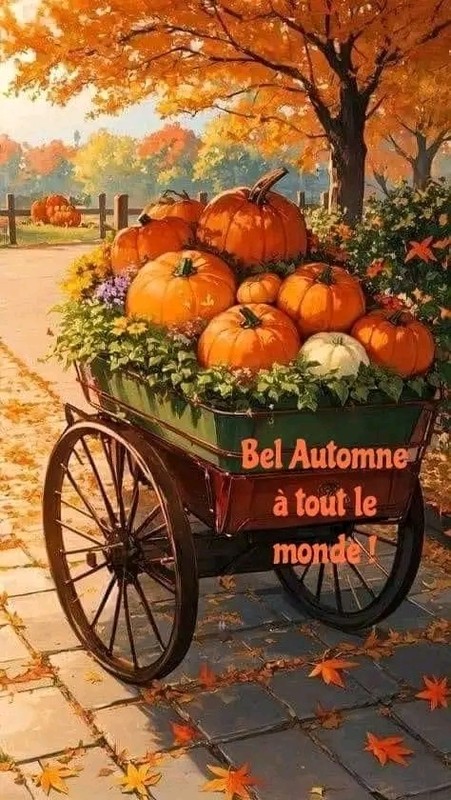 CEST L'AUTOMNE