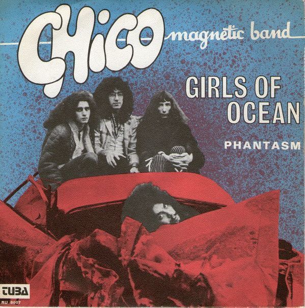 CHICO MAGNETIC BAND