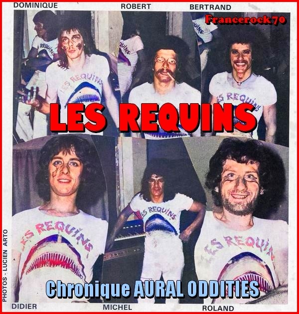 LES REQUINS