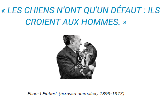 citation-chien2.png