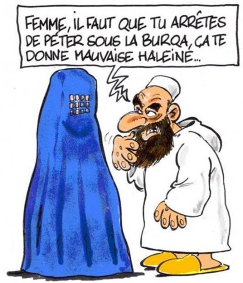 humour-pet-burka.jpg