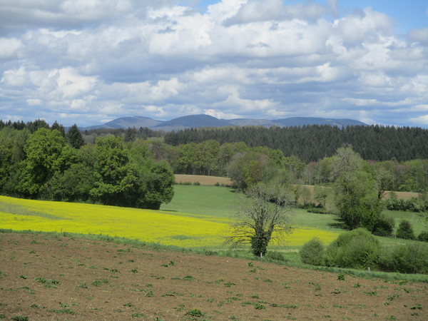 Sorties du 14 avril 2024 à Seilhac