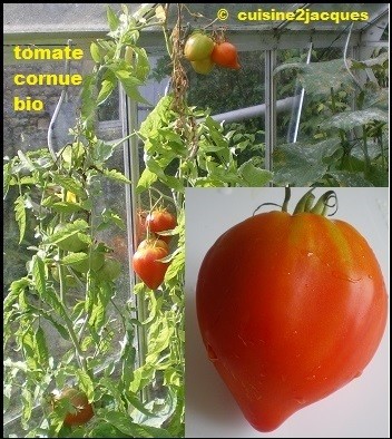 les tomates  bio   -  ( 2/2 )