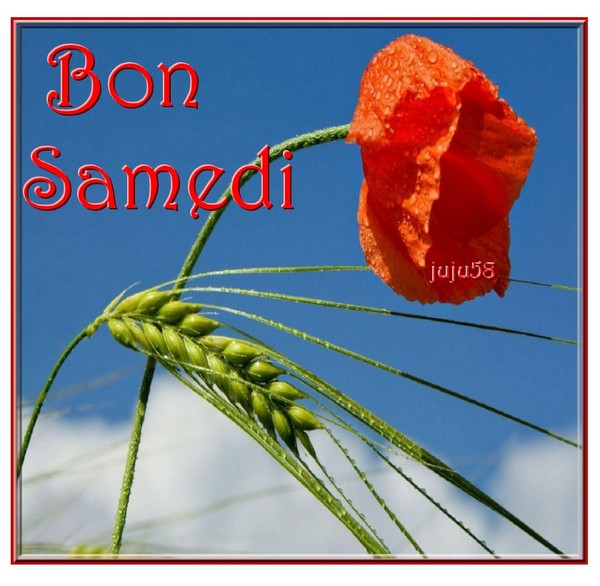 Bon samedi