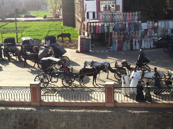 Les calèches d'Edfou