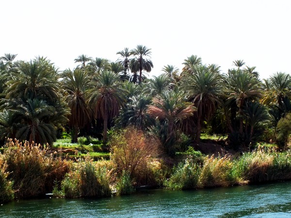 Les jardins du Paradis II