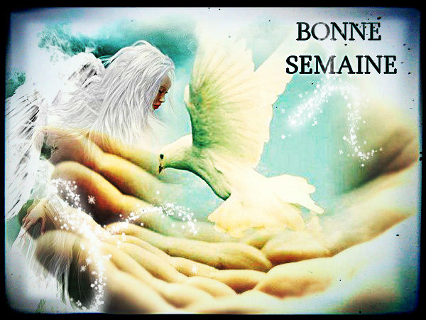 ◇ ◈ ◆ "Bonne semaine à tous!"  ◇ ◈ ◆