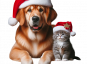 "Noël - chien et chat" (Tubé par mes soins)