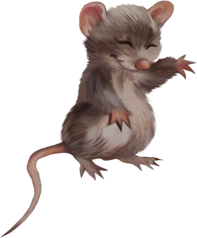 souris3.png