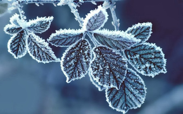 Chaque saison a son charme ... même l'hiver !