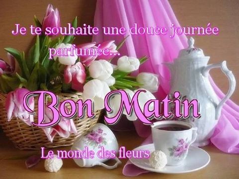 Bon dimanche à vous   ...  plein de tendresse !