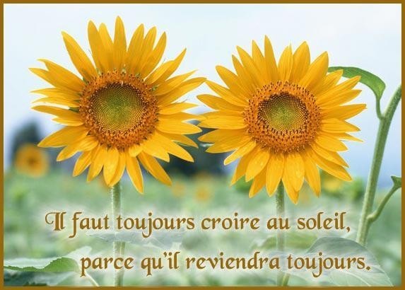 Pensée positive du jour   ...