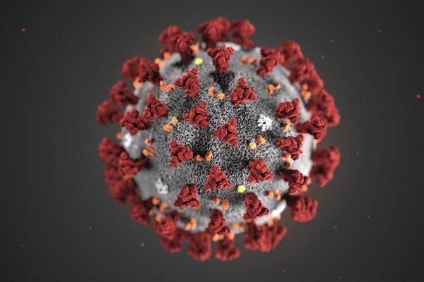 CORONAVIRUS ... prévention mais pas de panique !