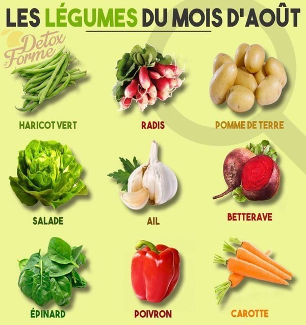 Les légumes du mois d'août     ...