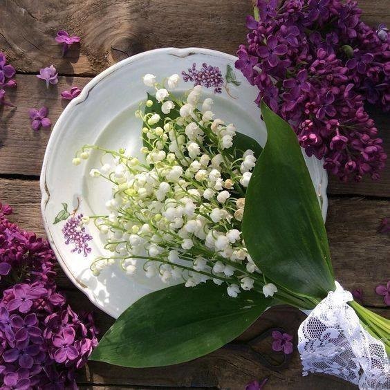 Quelques fleurs de saison  ...  pour toi, toi et toi aussi !