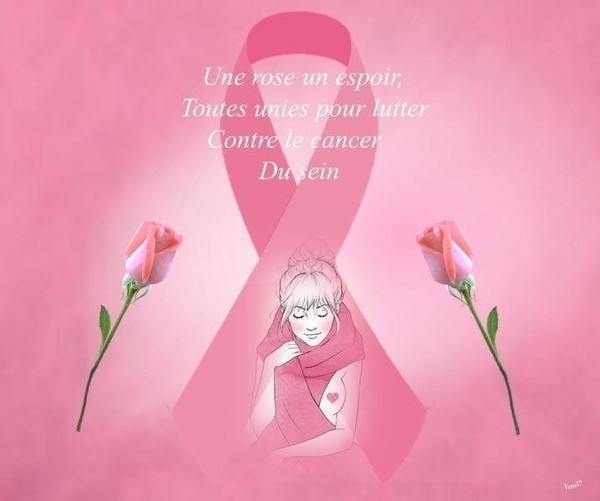 Octobre Rose   ...   le mois contre le cancer du Sein !