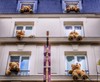 Les nounours s’installent pour de bon à Paris   ...