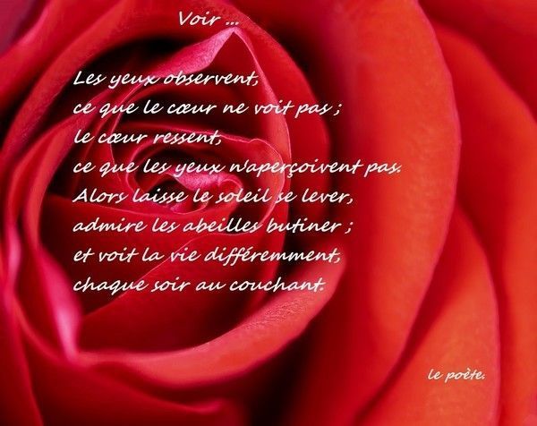 Voir ...