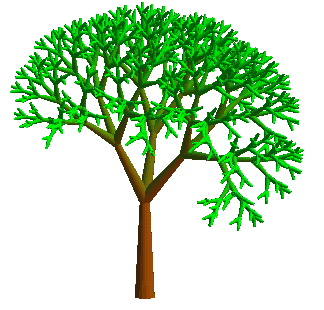 arbre3d