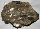 Pegmatite