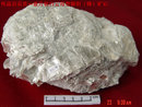 Pegmatite