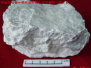 Pegmatite