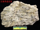 Graphic Pegmatite,Pegmatite