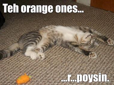 poysin orange ones