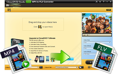 Convert MP4 to FLV