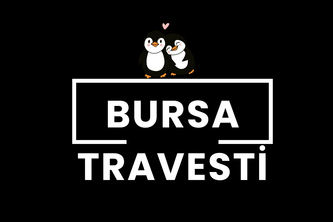 Bursa Travesti