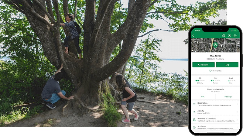 Three adults search for a geocache around, below, and up a tree.