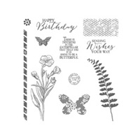 Butterfly Basics Photopolymer Stamp Set