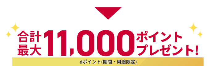 合計最大11,000ポイントプレゼント! dポイント(期間・用途限定)