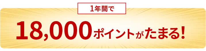 1年間で18,000ポイントがたまる！