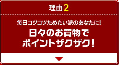 理由2 毎日コツコツためたい派のあなたに！日々のお買物でポイントザクザク！