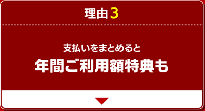 理由3 支払いをまとめると年間ご利用額特典も