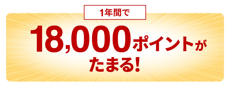 1年間で18,000ポイントがたまる！